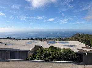 Meet your Posher, Luis